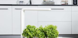 WhatsApp: novità anche per le chat di gruppo, cambiano le chiamate vocali