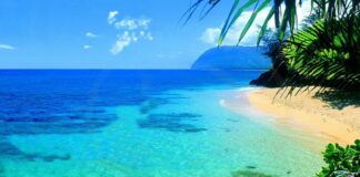 Viaggio gratis alle Hawaii per 2 persone, 7 giorni di relax