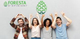 Guadagna 3 euro per sondaggio con Foresta d’Opinioni