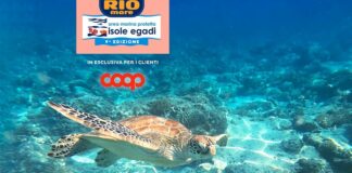 Buoni Spesa fino a 1000€ con il nuovo concorso Rio Mare 9^ Edizione