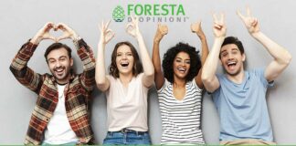 Foresta d’opinioni vi ricompensa con i sondaggi