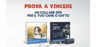 World Animal Day 2023, vinci 42 collari GPS per il tuo animale domestico