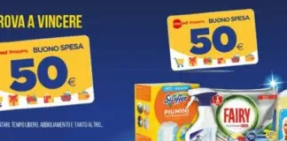 Concorso a premi con Le Stelle del Pulito Edenred 2024