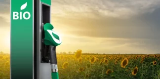 Biocarburanti: ecco come si ottengono e quali sono i più interessanti Biocarburanti: ecco come si ottengono e quali sono i più interessanti