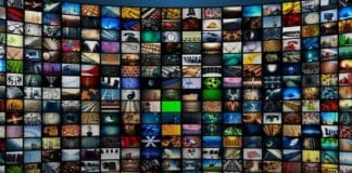 Pezzotto: chi non denuncia, rischia multe e carcere