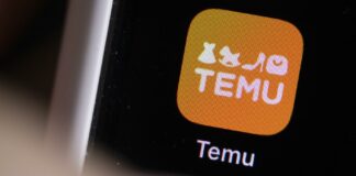 Compra su Temu per 40 euro e riceve una multa da oltre 600 euro