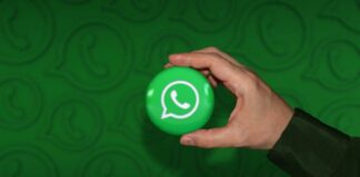 WhatsApp Beta: aggiornamenti di stato migliorati con l’intelligenza artificiale WhatsApp