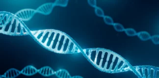 DNA: individuati 360 mila nodi che regolano l’attività dei geni