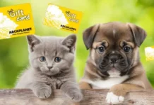 Arcaplanet lancia il concorso Instagram, in palio una gift card da 300 euro