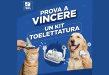 Hill’s Pet Italia concorso: premi per cani e gatti su Instagram fino a ottobre Hill’s Pet Italia concorso: premi per cani e gatti su Instagram fino a ottobre