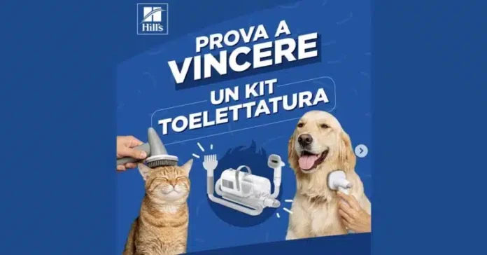 Hill’s Pet Italia concorso: premi per cani e gatti su Instagram fino a ottobre